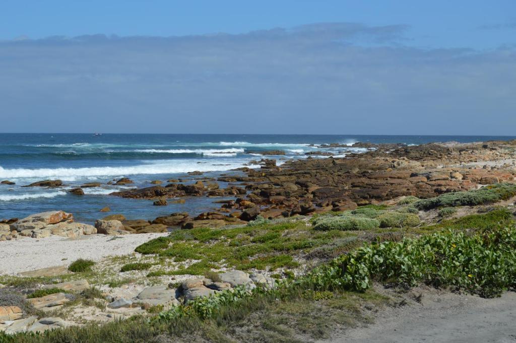 Thatchwood Country Lodge St. Francis Bay Exterior photo